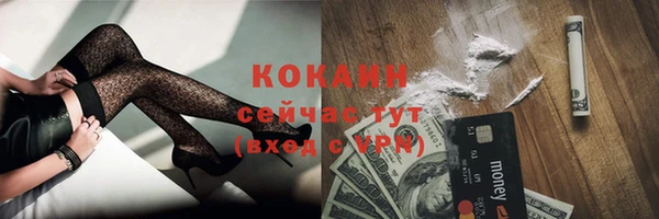 спайс Баксан