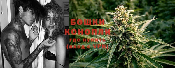 сатива Армянск