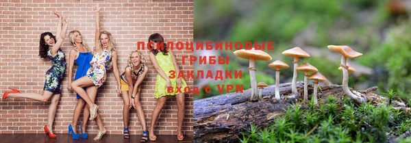 Альфа ПВП Арсеньев