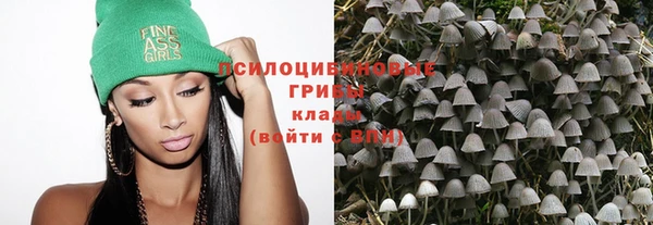 спайс Баксан
